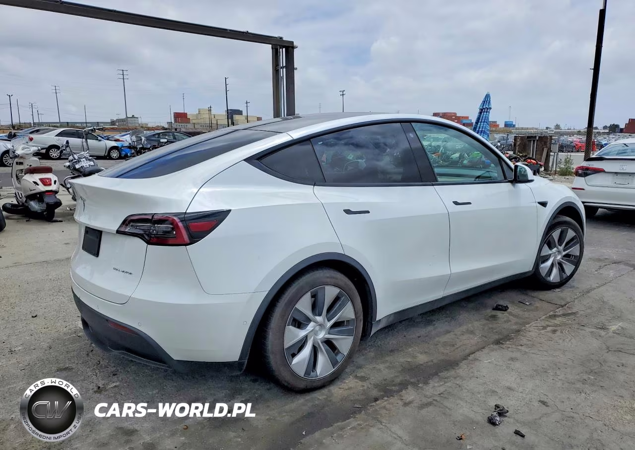 2020 Tesla Model Y VIN:5YJYGDEE0LF031894 - 3
