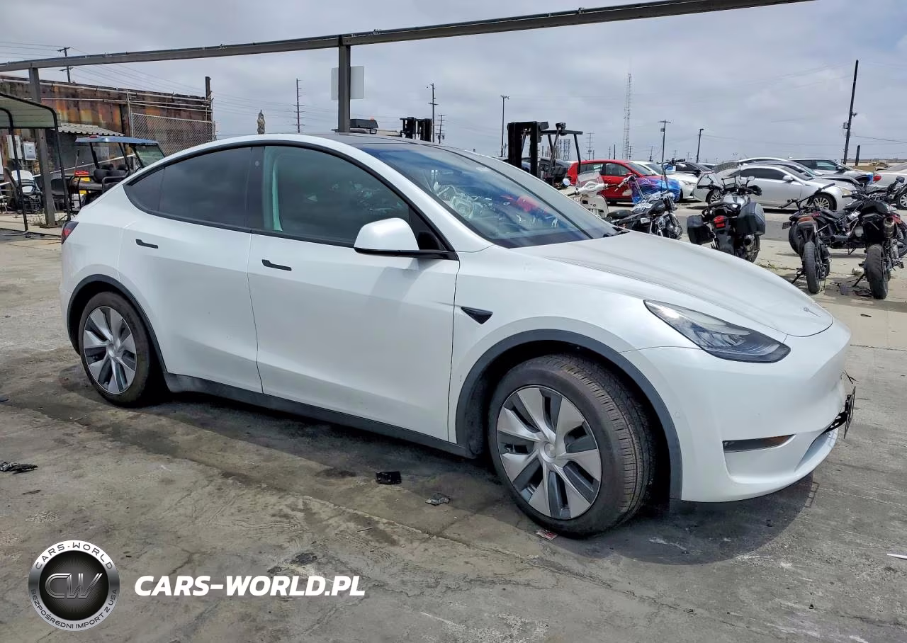 2020 Tesla Model Y VIN:5YJYGDEE0LF031894 - 4