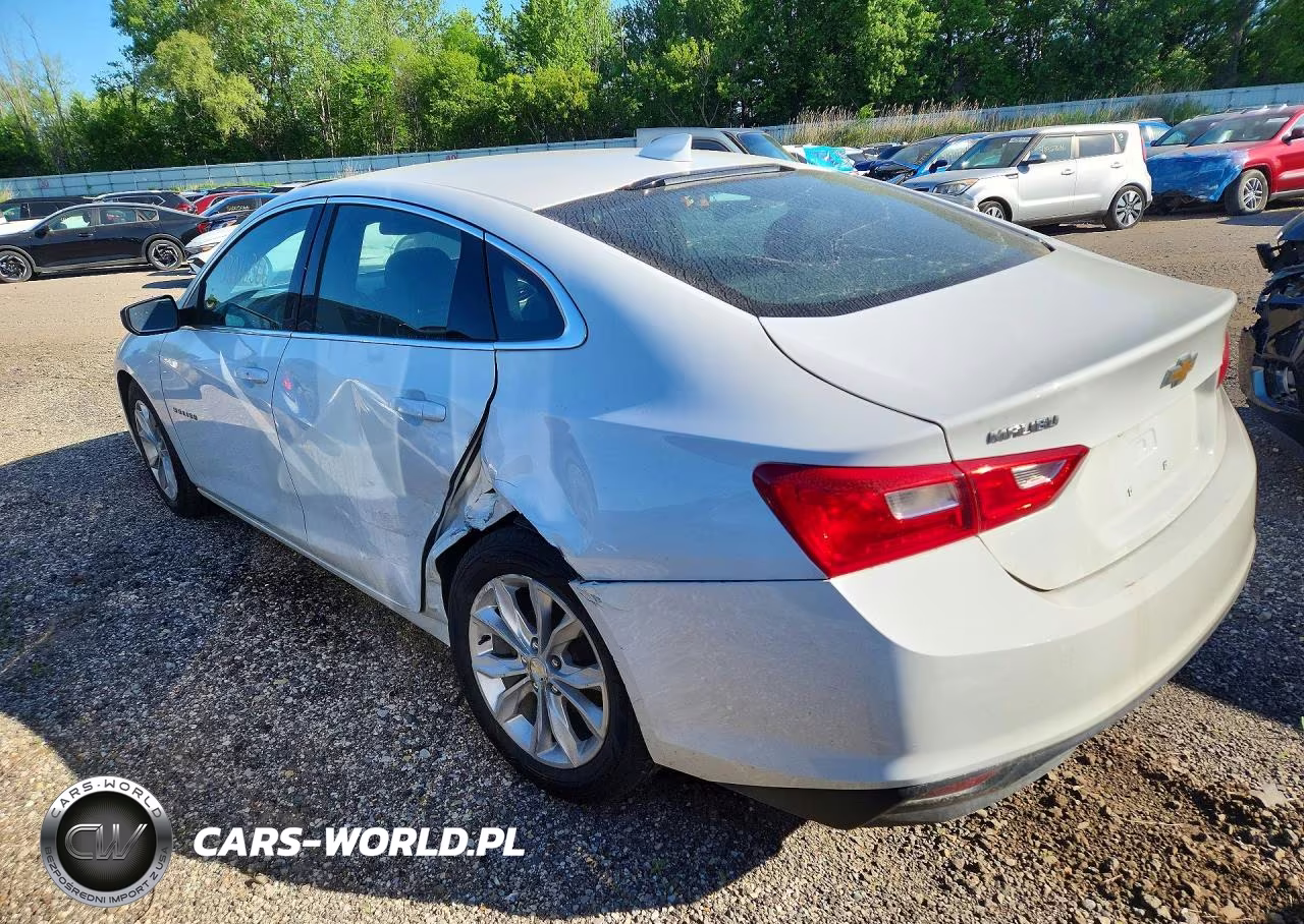 2023 Chevrolet Malibu Lt VIN:1G1ZD5ST3PF204033 - 2