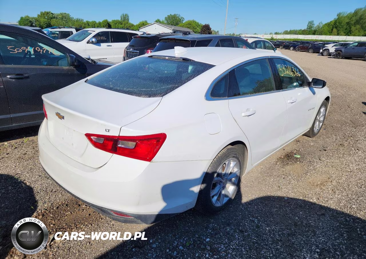 2023 Chevrolet Malibu Lt VIN:1G1ZD5ST3PF204033 - 3
