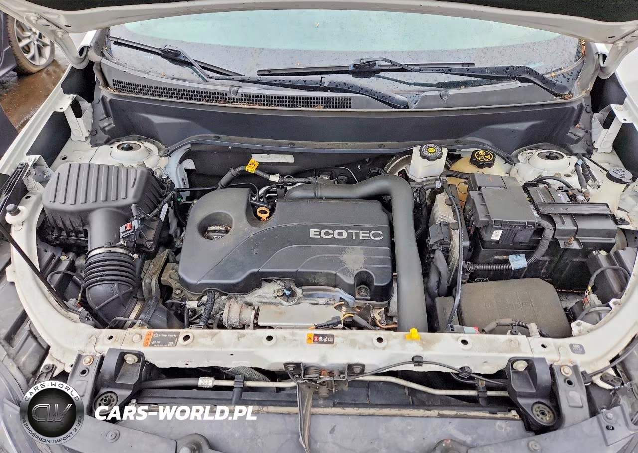 2019 Chevrolet Equinox Lt VIN:2GNAXUEV8K6243102 - 11