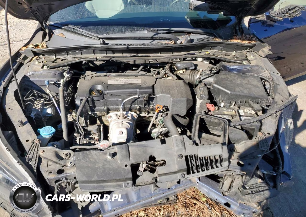 2013 Honda Accord Exl VIN:1HGCR2F87DA210415 - 11