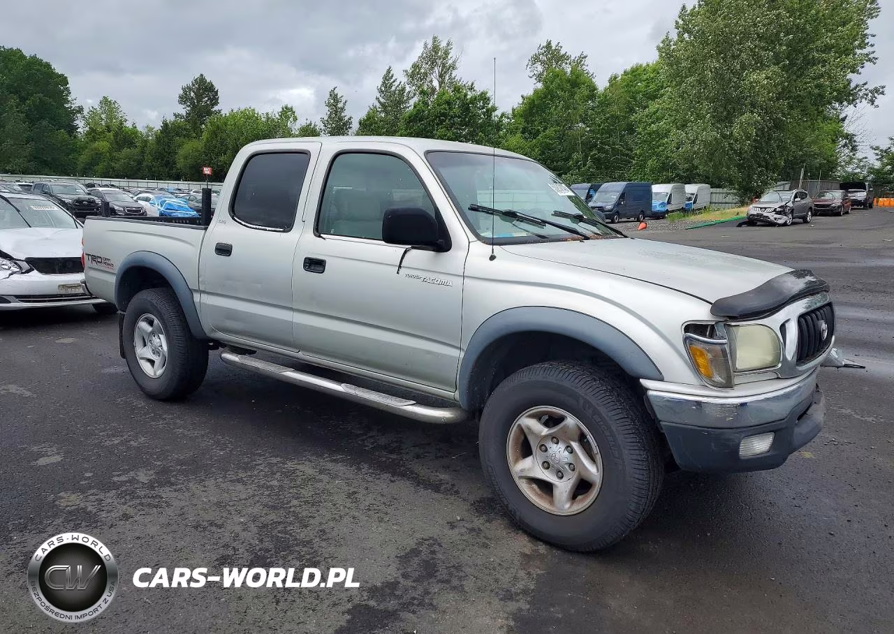 2004 Toyota Tacoma Double Cab Prerunner VIN:5TEGN92NX4Z406676 - 4