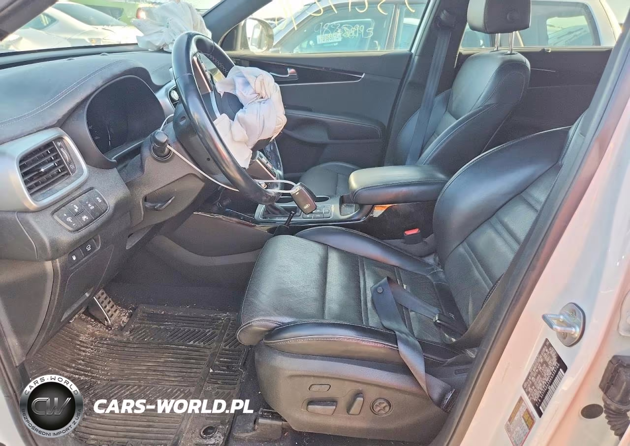2019 Kia Sorento Sx Limited V6 VIN:5XYPKDA59KG538705 - 7