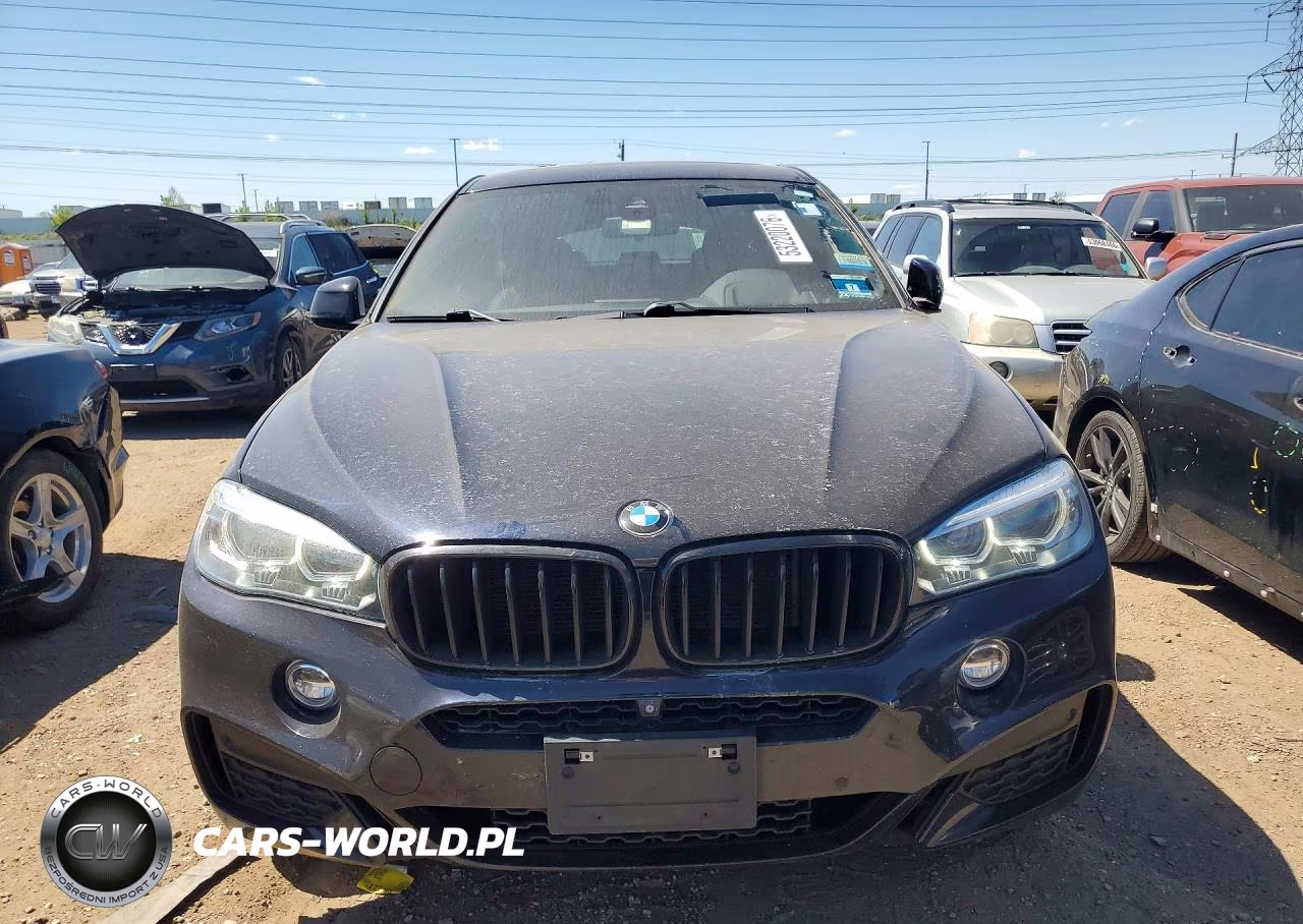 2017 BMW X6 xDrive35I VIN:5UXKU2C32H0U30055 - 5