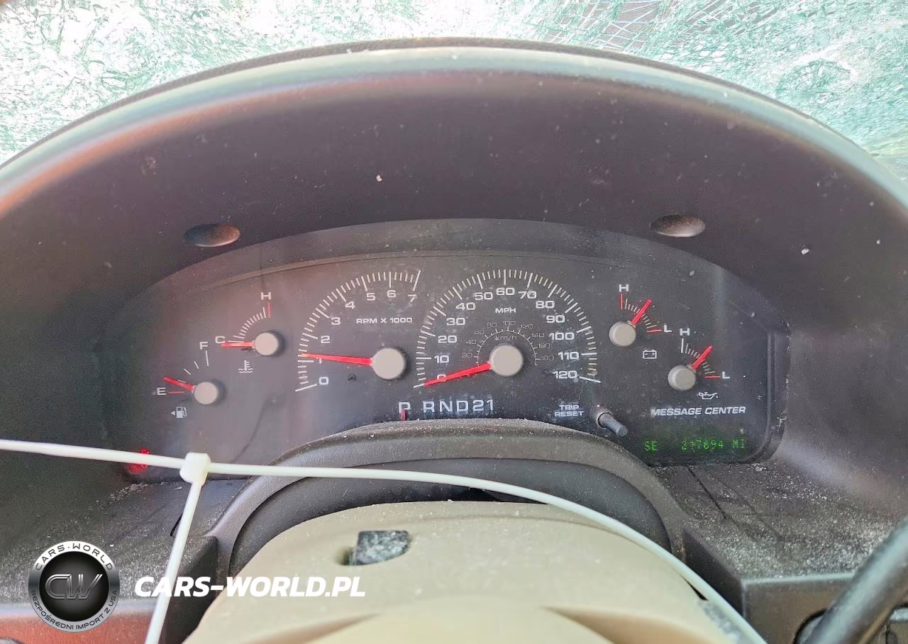 2003 Ford Expedition Eddie Bauer VIN:1FMFU17L63LC50555 - 9