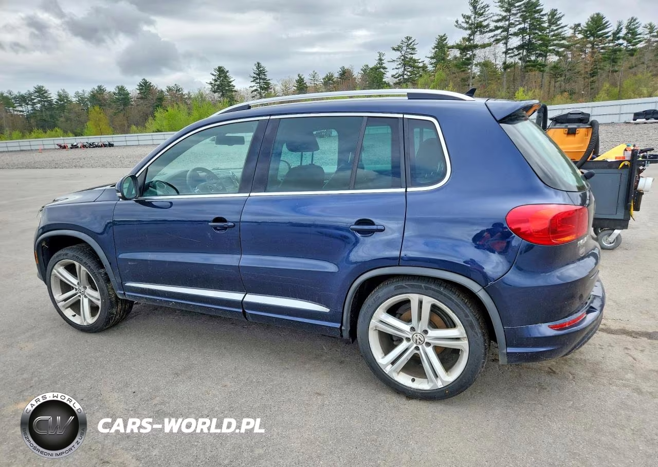 2016 Volkswagen Tiguan S VIN:WVGBV7AX9GW065060 - 2