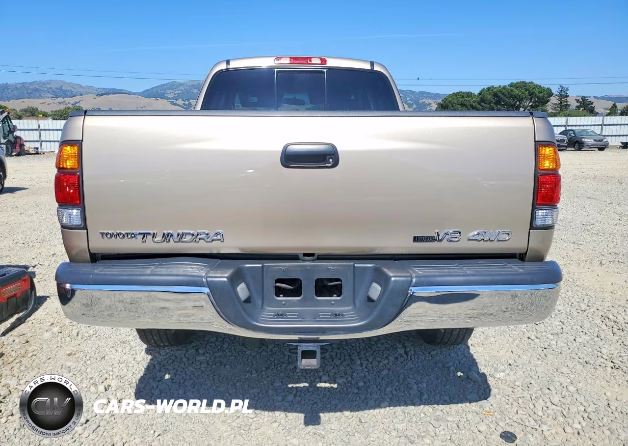 2003 Toyota Tundra Access Cab Sr5 VIN:5TBBT44183S381939 - 6