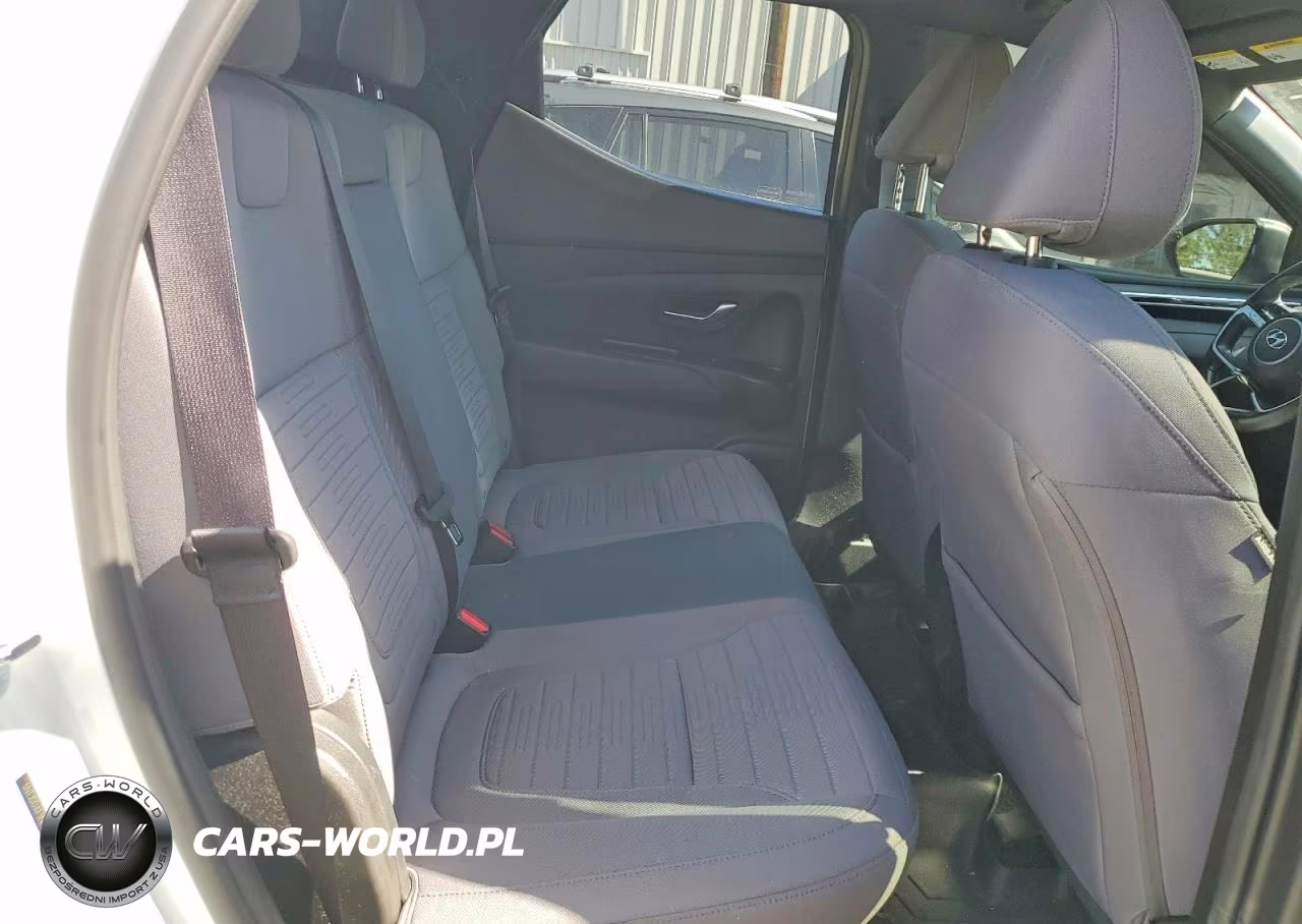 2022 Hyundai Santa Cruz Sel Premium VIN:5NTJDDAF3NH001898 - 10