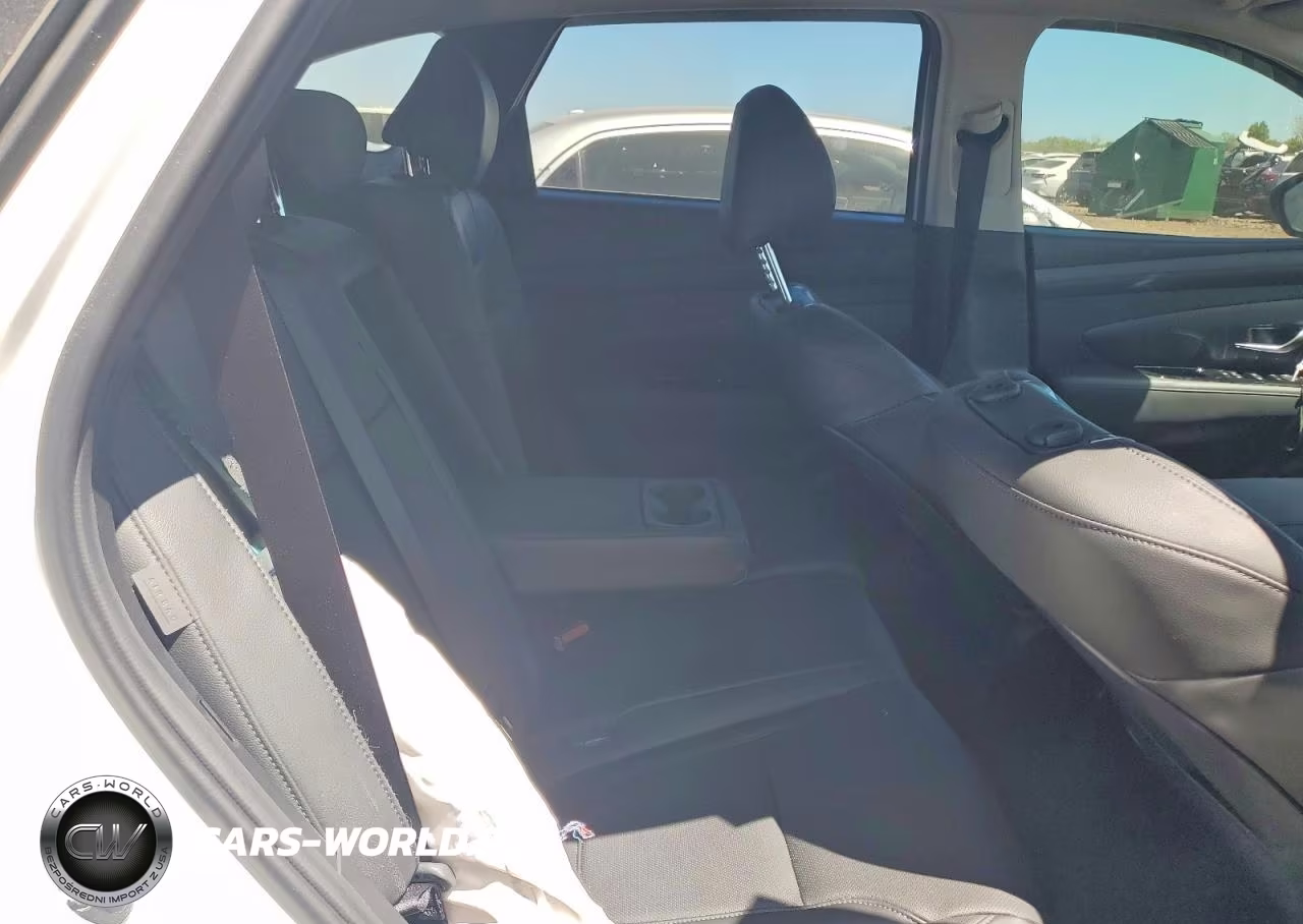 2025 Hyundai Tucson Limited VIN:5NMJE3DE8SH603651 - 10