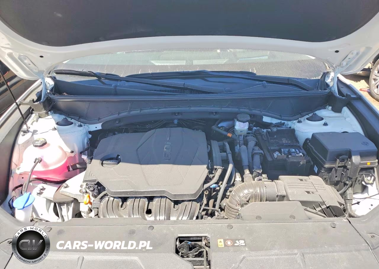 2025 Hyundai Tucson Limited VIN:5NMJE3DE8SH603651 - 11