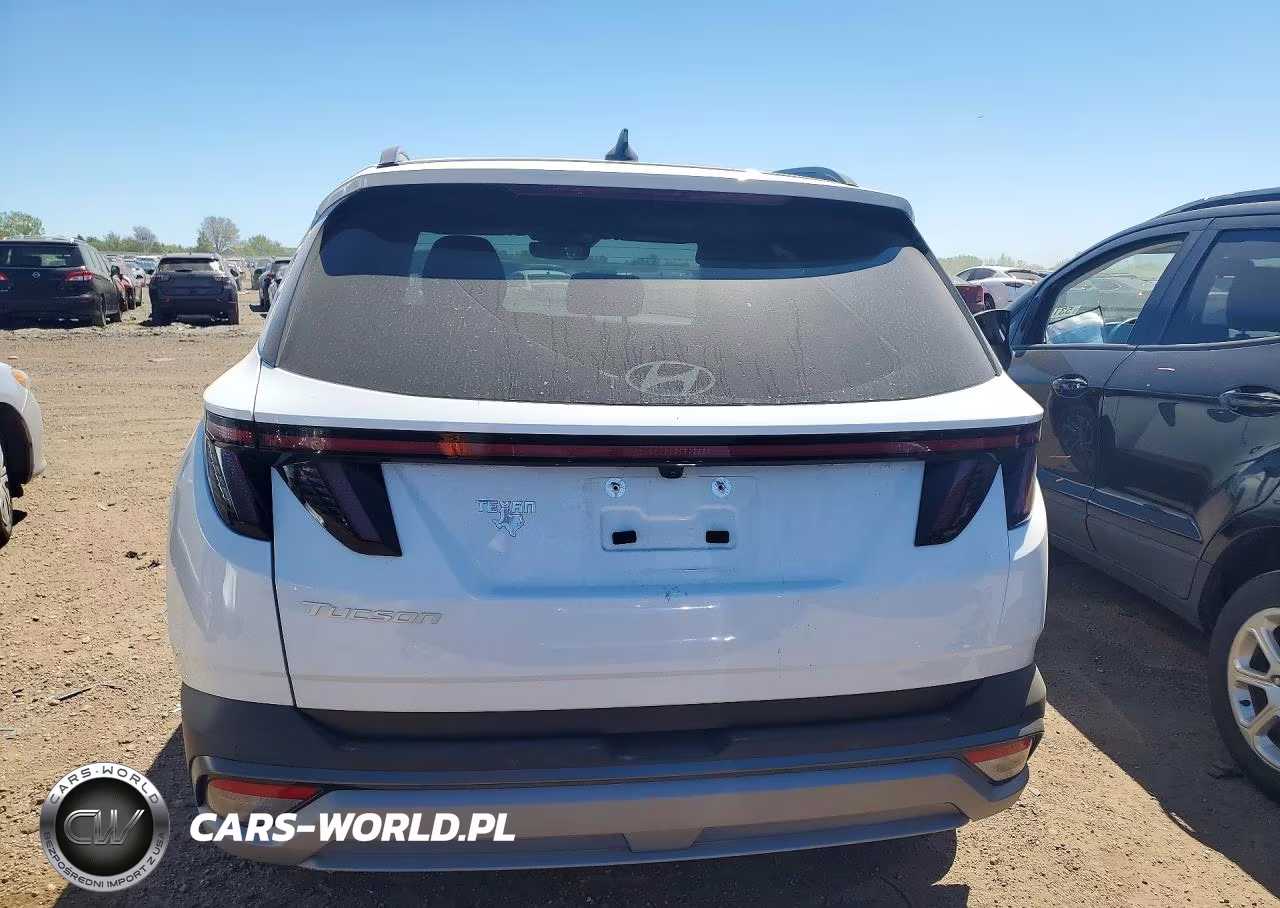 2025 Hyundai Tucson Limited VIN:5NMJE3DE8SH603651 - 6