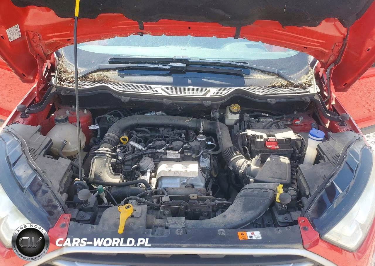 2019 Ford Ecosport Se VIN:MAJ3S2GE5KC262642 - 12