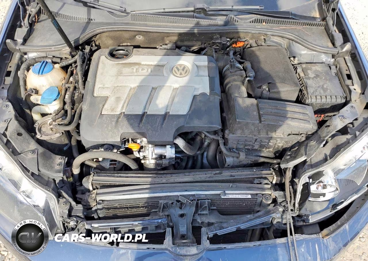 2012 Volkswagen Golf VIN:WVWNM7AJ5CW254251 - 11