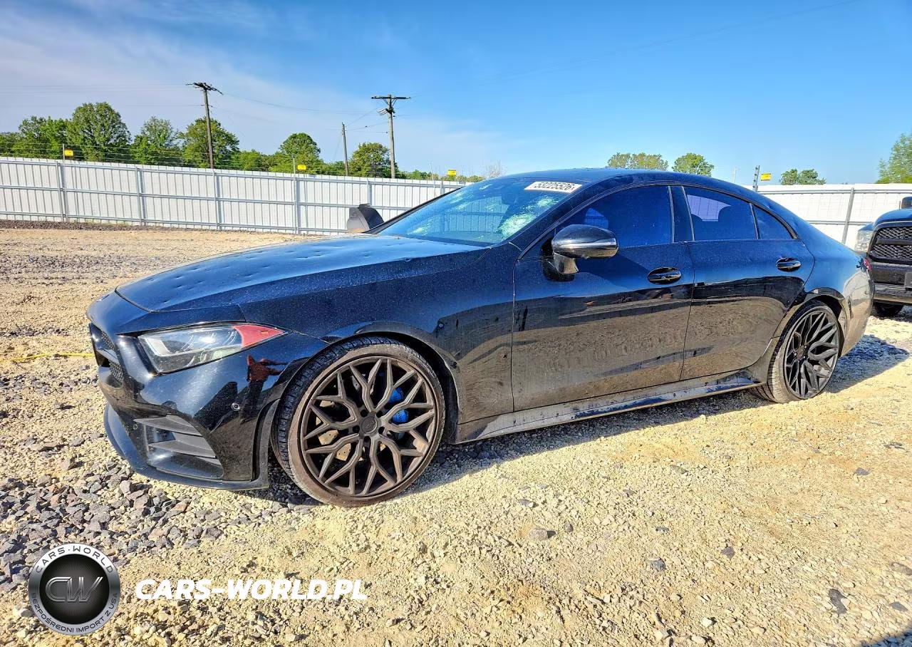 2019 Mercedes-Benz Cls 450