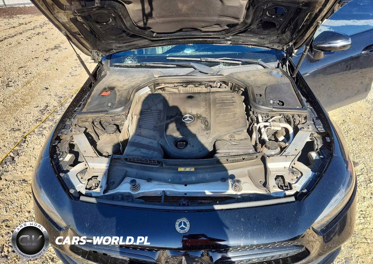 2019 Mercedes-Benz Cls 450 VIN:WDD2J5JB1KA019422 - 11