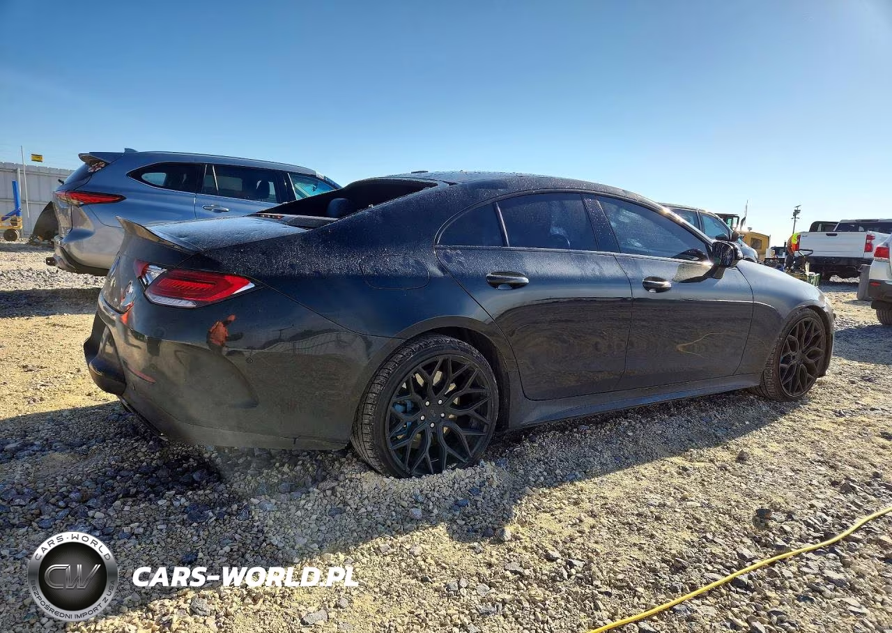 2019 Mercedes-Benz Cls 450 VIN:WDD2J5JB1KA019422 - 3