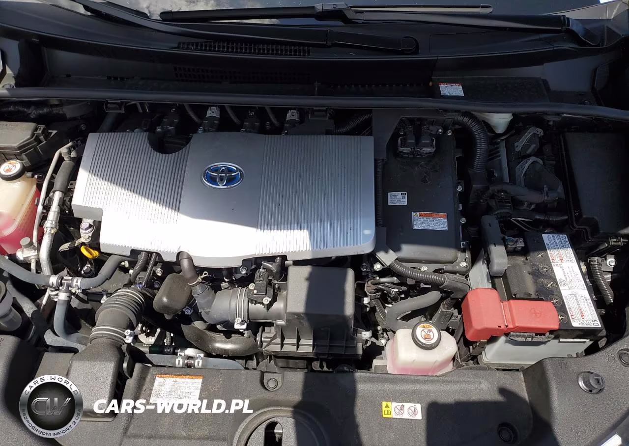 2019 Toyota Prius VIN:JTDKARFU7K3085103 - 11