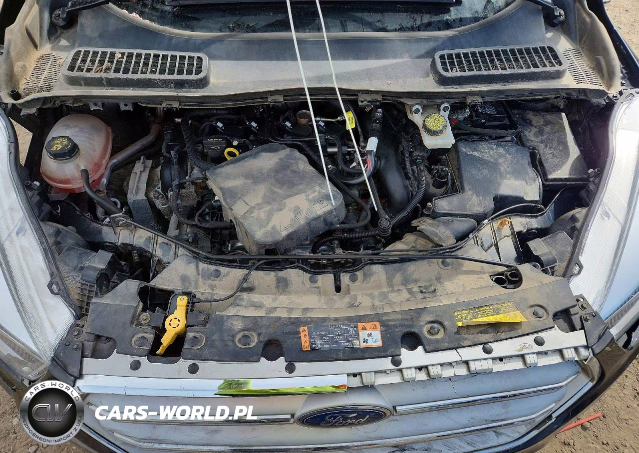 2018 Ford Escape Se VIN:1FMCU0GD9JUD16805 - 12