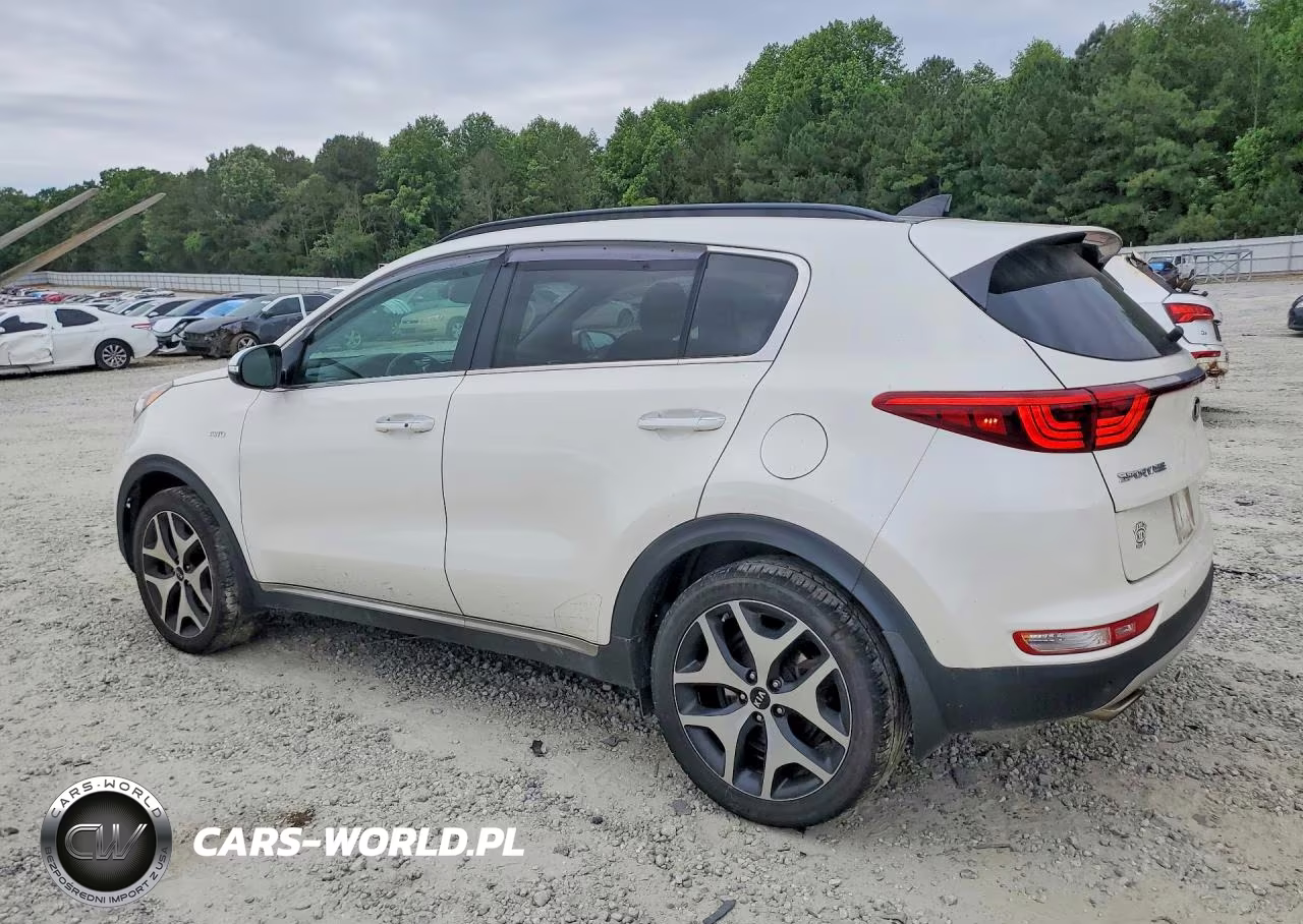 2019 Kia Sportage Sx VIN:KNDPRCA61K7573394 - 2