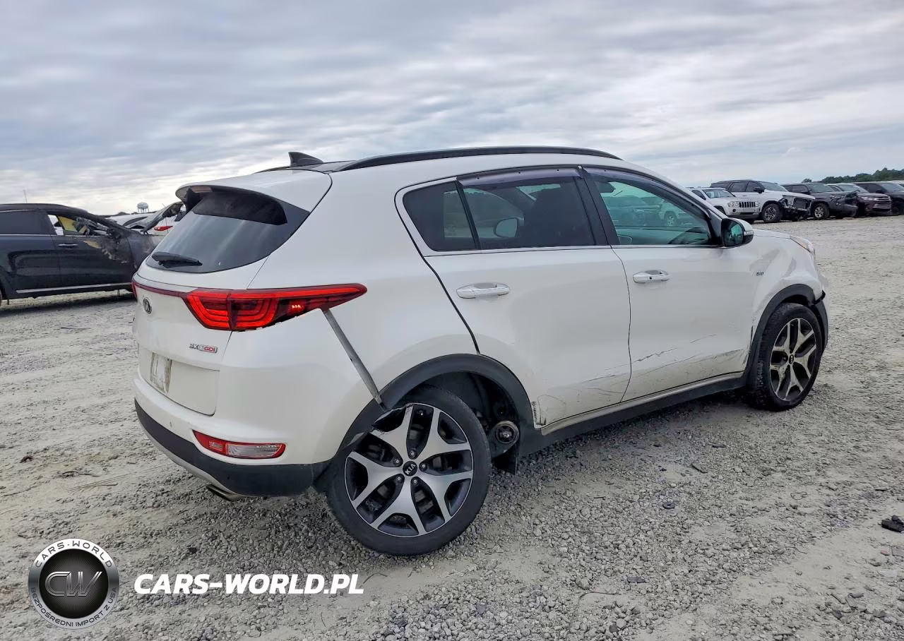 2019 Kia Sportage Sx VIN:KNDPRCA61K7573394 - 3