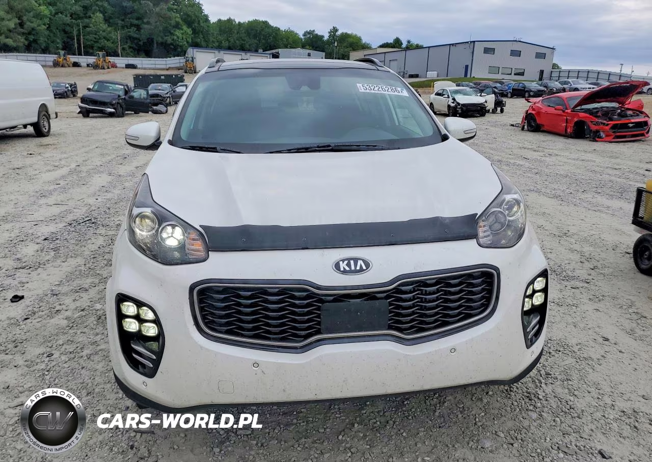 2019 Kia Sportage Sx VIN:KNDPRCA61K7573394 - 5