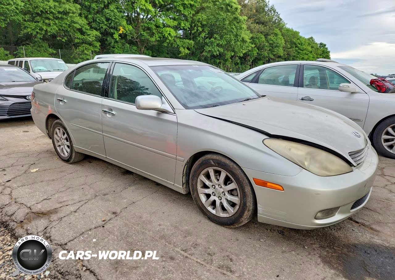 2002 Lexus Es 300 VIN:JTHBF30G720070280 - 4