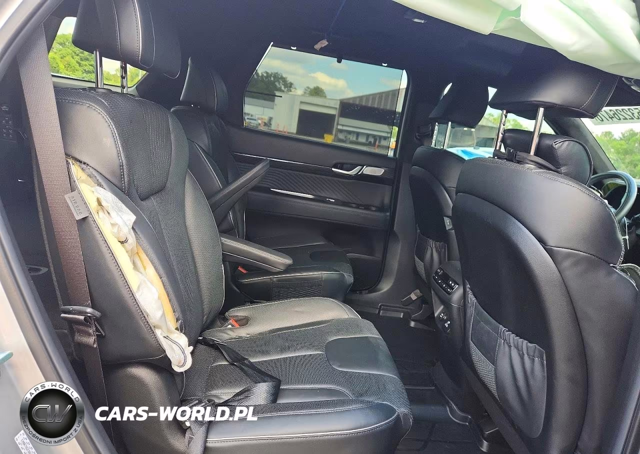 2024 Hyundai Palisade Calligraphy VIN:KM8R7DGE8RU768290 - 11