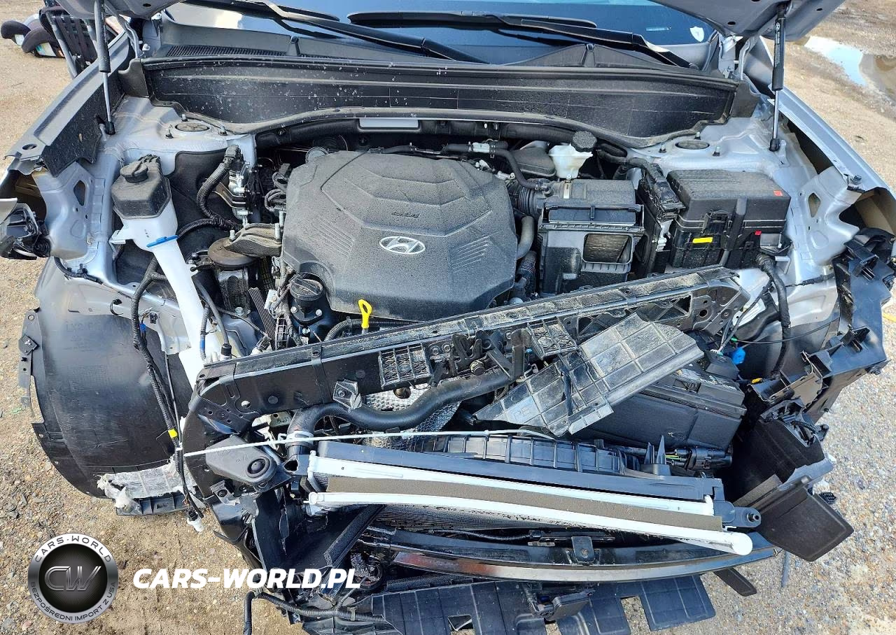 2024 Hyundai Palisade Calligraphy VIN:KM8R7DGE8RU768290 - 12