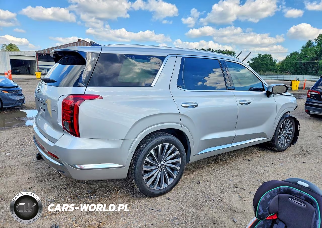 2024 Hyundai Palisade Calligraphy VIN:KM8R7DGE8RU768290 - 3