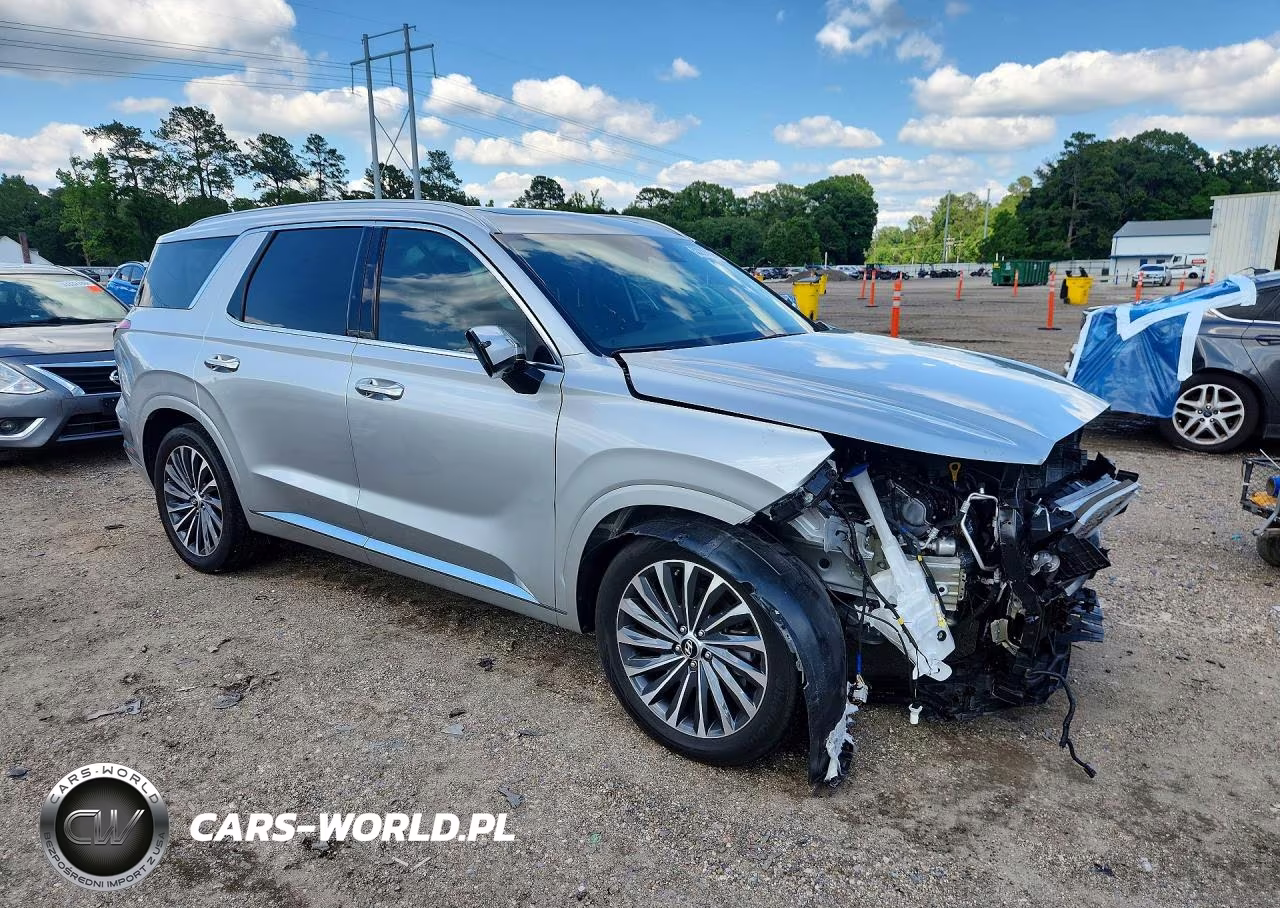 2024 Hyundai Palisade Calligraphy VIN:KM8R7DGE8RU768290 - 4