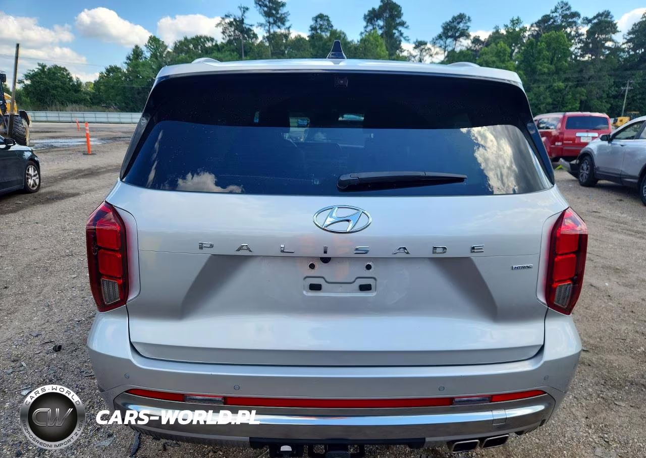 2024 Hyundai Palisade Calligraphy VIN:KM8R7DGE8RU768290 - 6