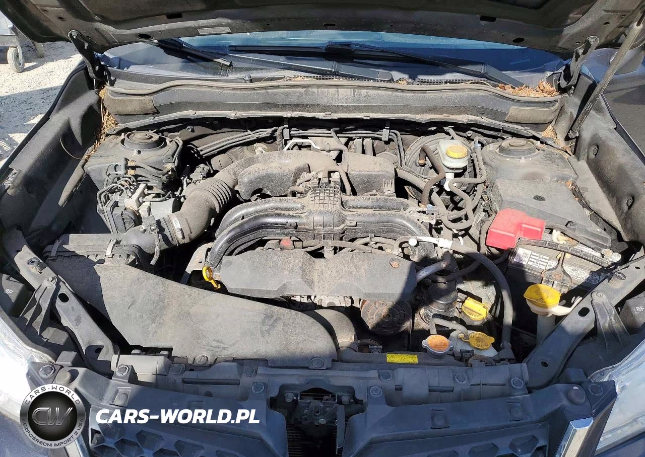 2015 Subaru Forester 2.5I Premium VIN:JF2SJAFC2FH431934 - 12