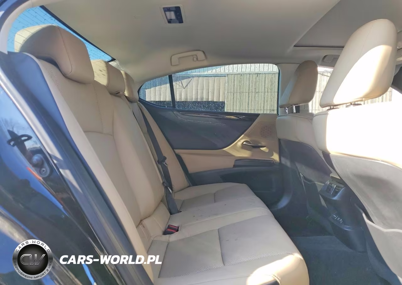 2021 Lexus Es 250 Base VIN:58AD11D11MU002883 - 10