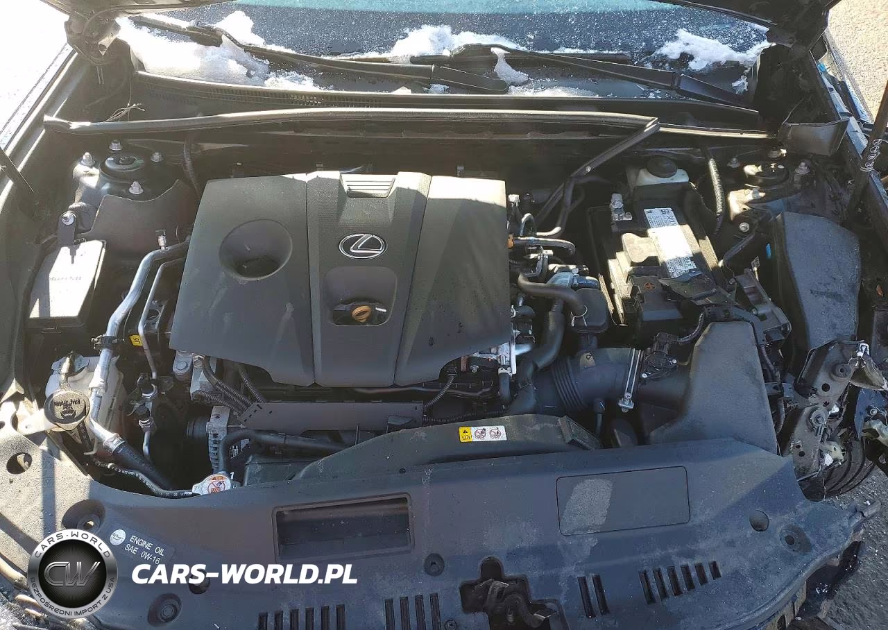 2021 Lexus Es 250 Base VIN:58AD11D11MU002883 - 11