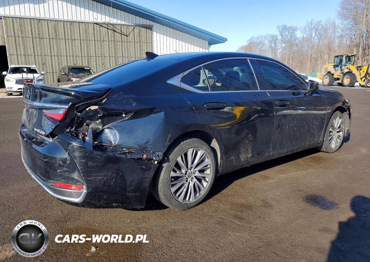 2021 Lexus Es 250 Base VIN:58AD11D11MU002883 - 3