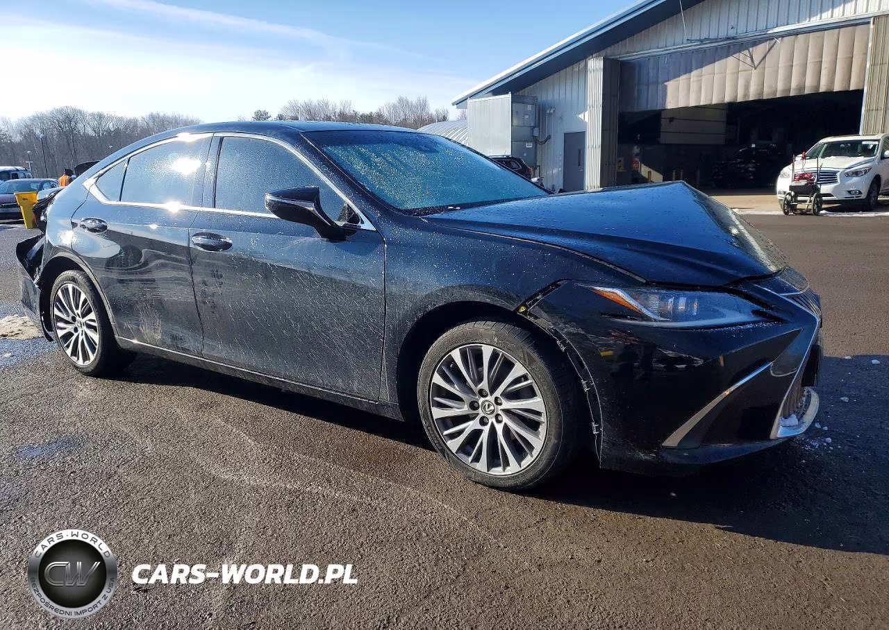 2021 Lexus Es 250 Base VIN:58AD11D11MU002883 - 4
