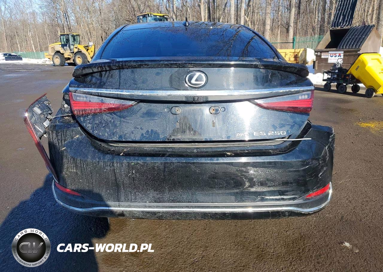 2021 Lexus Es 250 Base VIN:58AD11D11MU002883 - 6