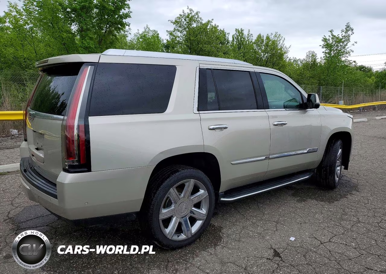 2017 Cadillac Escalade Luxury VIN:1GYS4BKJ4HR343202 - 3