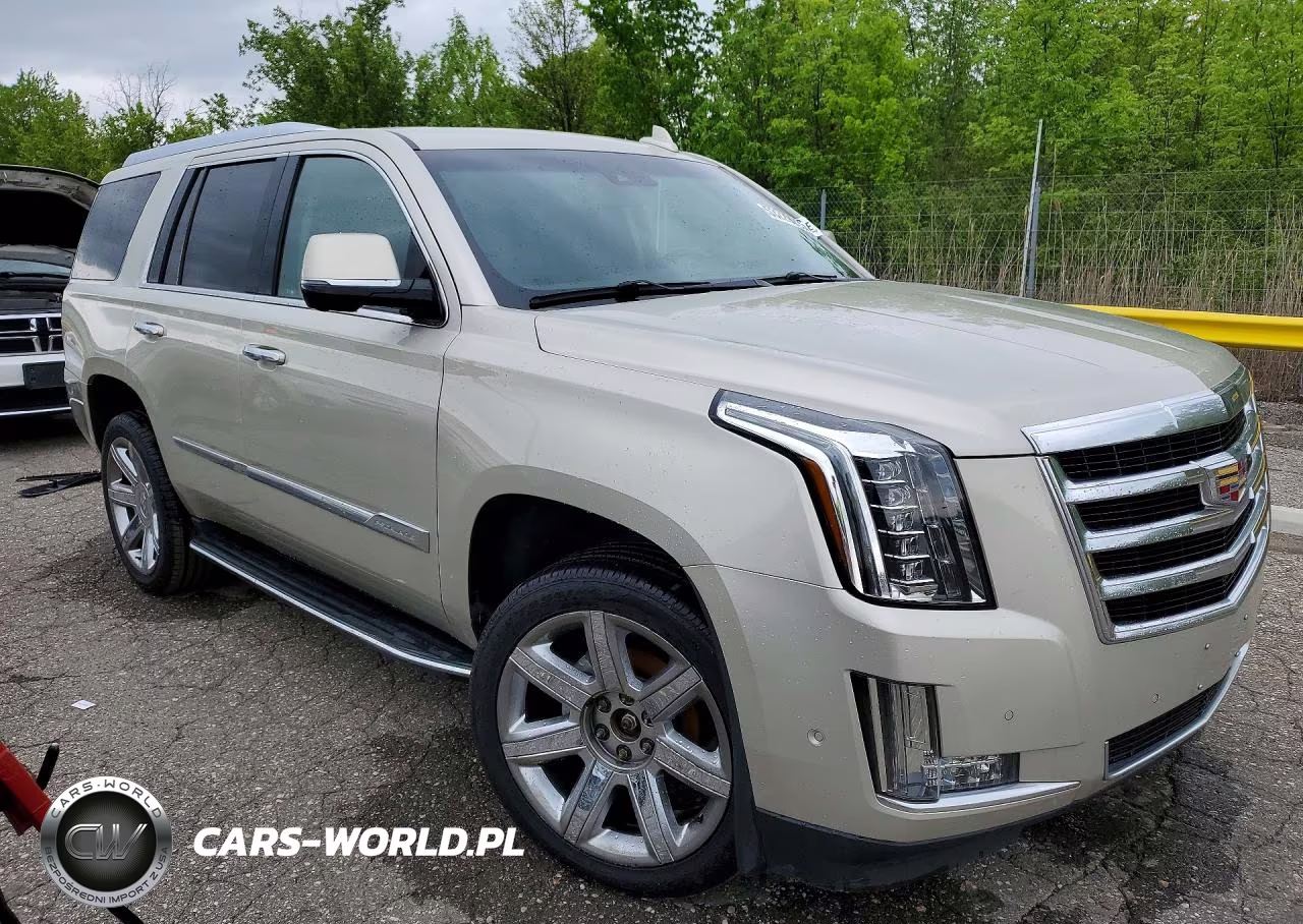 2017 Cadillac Escalade Luxury VIN:1GYS4BKJ4HR343202 - 4