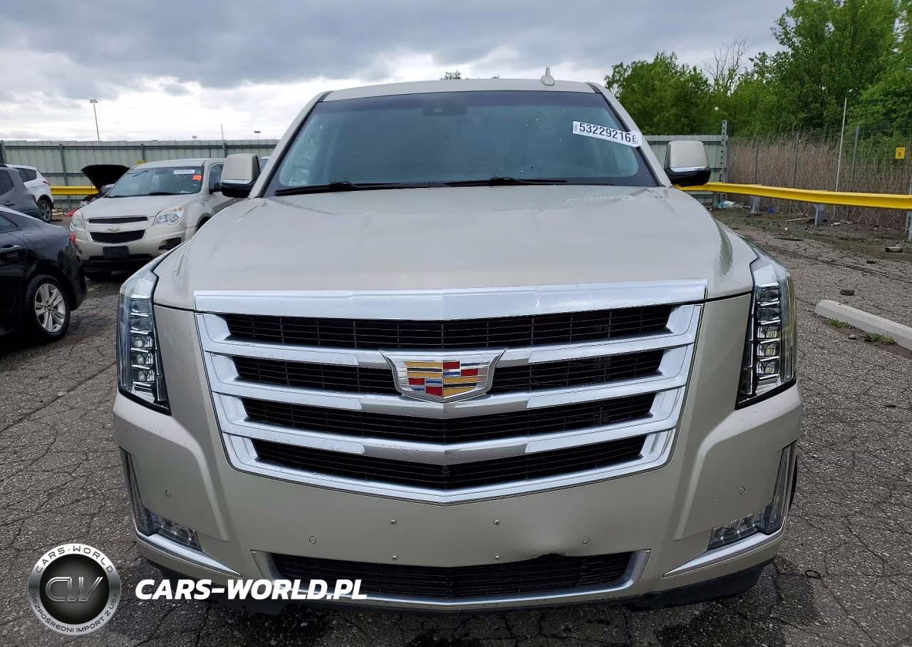 2017 Cadillac Escalade Luxury VIN:1GYS4BKJ4HR343202 - 5