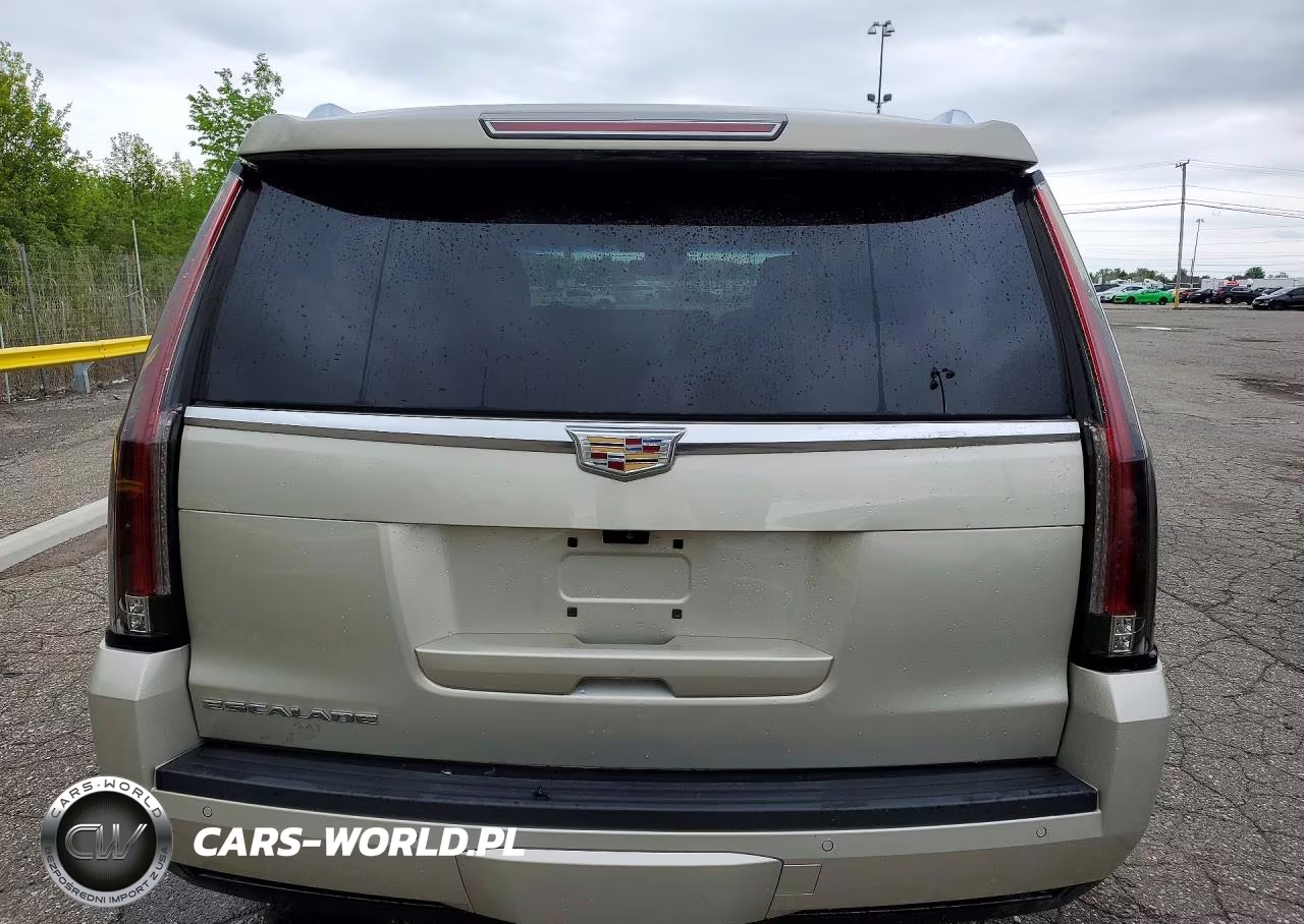 2017 Cadillac Escalade Luxury VIN:1GYS4BKJ4HR343202 - 6
