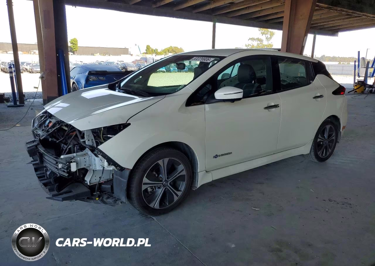 2019 Nissan Leaf Sl Plus