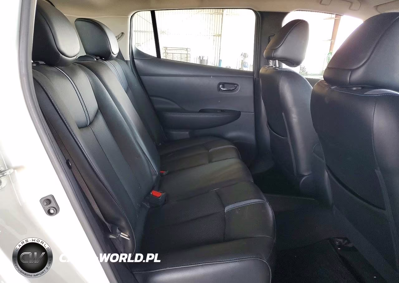 2019 Nissan Leaf Sl Plus VIN:1N4BZ1CP5KC311959 - 10