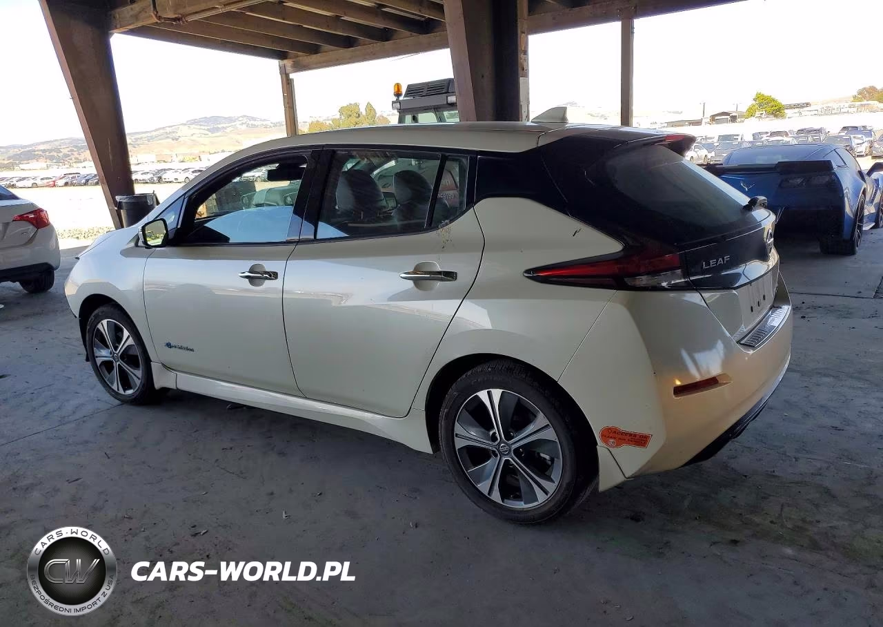 2019 Nissan Leaf Sl Plus VIN:1N4BZ1CP5KC311959 - 2