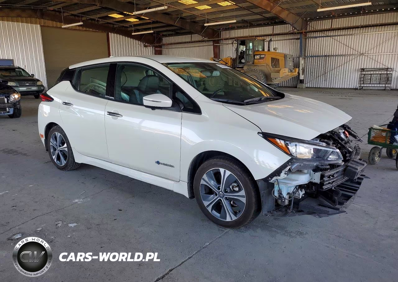 2019 Nissan Leaf Sl Plus VIN:1N4BZ1CP5KC311959 - 4