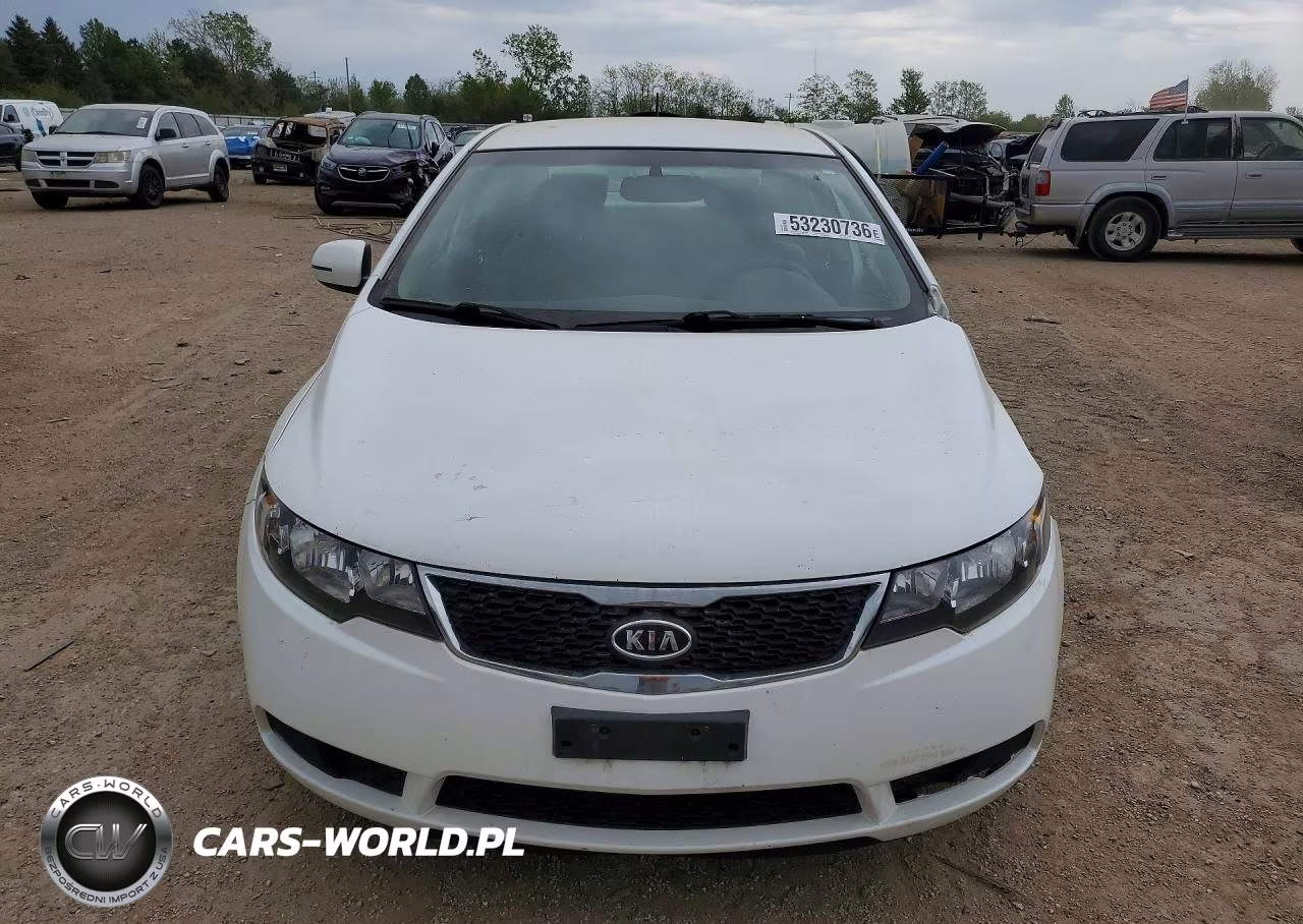 2013 Kia Forte Ex VIN:KNAFU4A26D5731219 - 5