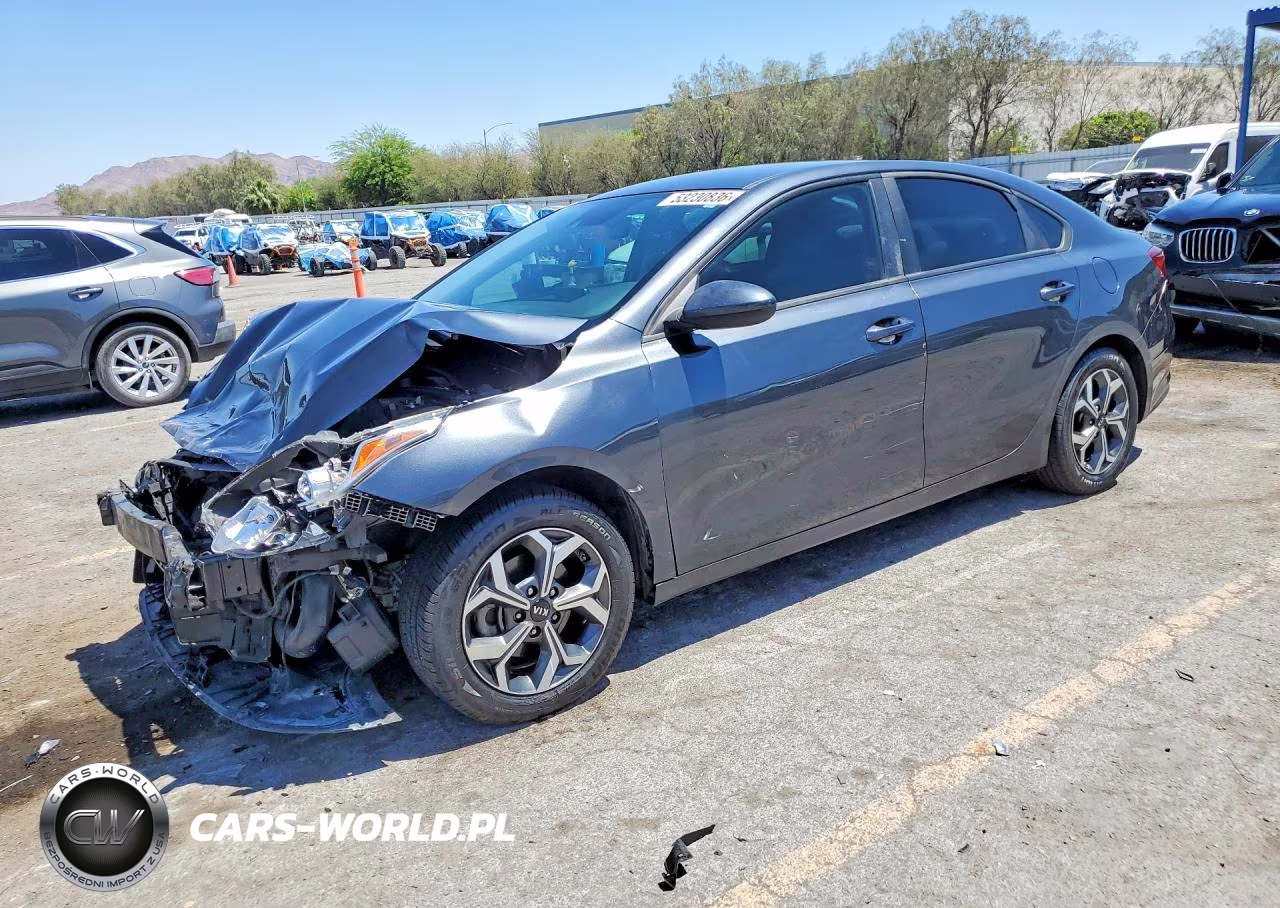 2019 Kia Forte Lxs