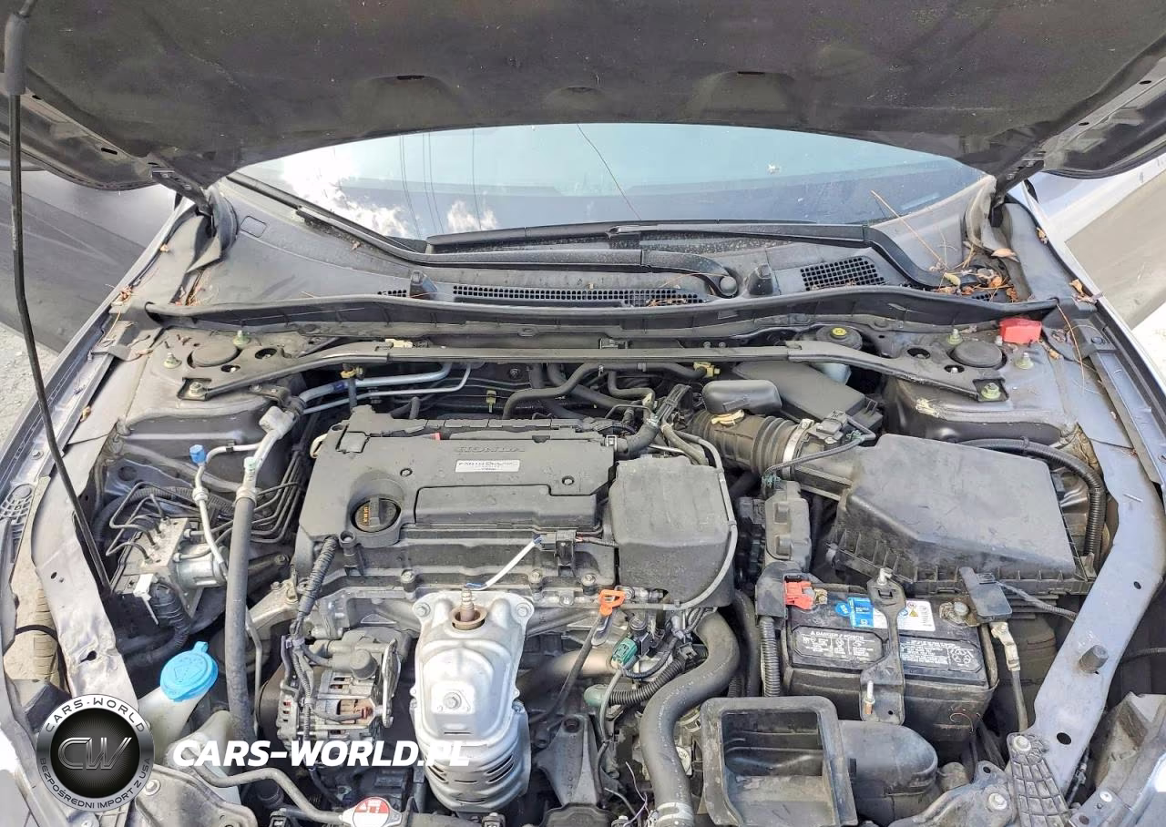 HONDA ACCORD VIN:1HGCR2F59GA160126 - 11