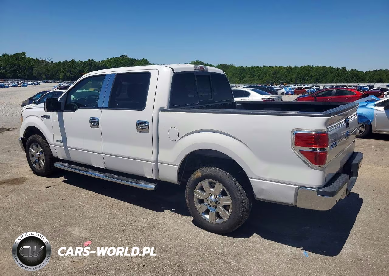 2011 Ford F150 Supercrew VIN:1FTFW1CT9BFB29181 - 2